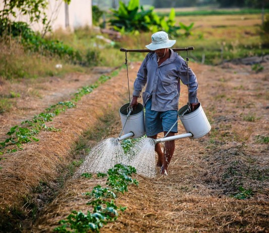 4 tips for recruiting farm labor