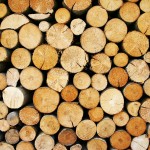 Big benefits in low-impact logging Learn more at Farm Science Review