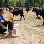 world champion auctioneer5