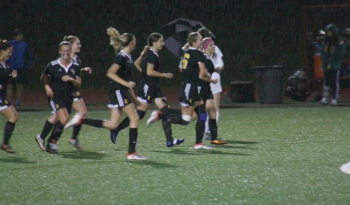 seabolt soccer team seabolt soccer team