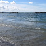 Perch plentiful everywhere but the middle Lake Erie