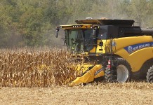 Slipping into harvest unprepared New Holland corn combine