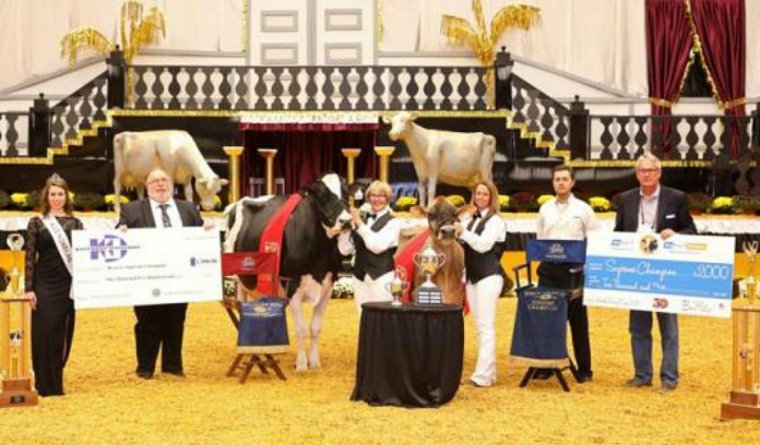 2016 WDE supreme World Dairy Expo supreme