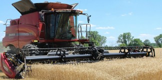 Weather woes trigger a grain market Turnaround Tuesday Wheat harvest
