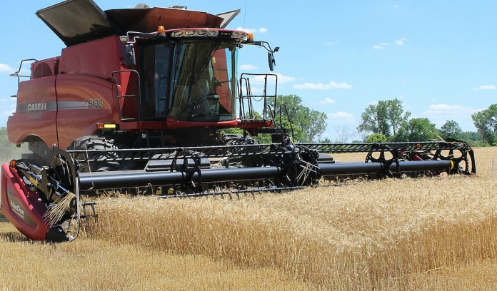 Wheat harvest