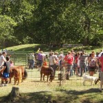 Does agritourism fit your farm? 8 things to consider