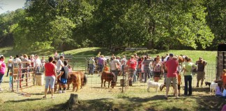 Does agritourism fit your farm? 8 things to consider
