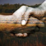 Better together: 5 ways small farms work together to achieve big goals