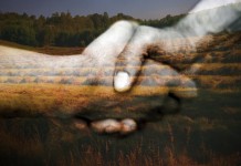 Better together: 5 ways small farms work together to achieve big goals