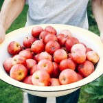 Organic farmers invited to discuss new OSU program