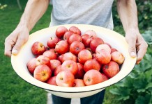 Organic farmers invited to discuss new OSU program