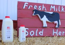From the cow to the bottle Buckeye Creamery sign
