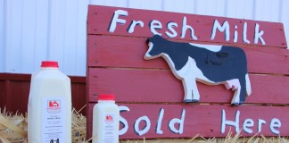 From the cow to the bottle Buckeye Creamery sign