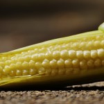 Farm Science Review reveals crop prices, budgets not looking up for 2017