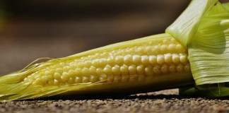 Farm Science Review reveals crop prices, budgets not looking up for 2017
