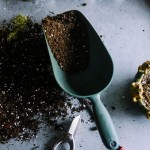 Soil health, preparing garden for fall