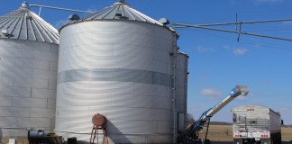 grain storage bin
