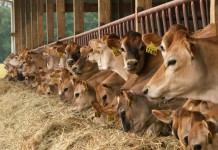 PennAg, Sunoco Logistics launch biosecurity training in January