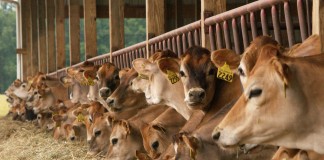 PennAg, Sunoco Logistics launch biosecurity training in January