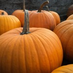 How to use pumpkins around the house pumpkins