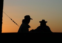 4 tips for communicating on the family farm