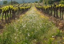 A conservation plan can help you better manage your farm