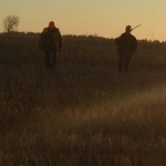 11_17 tontimonia web