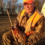 11_17 tontimonia web 2