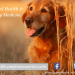 Animal-health-conference-2017-dog-image