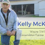 Kelly McKelvey header