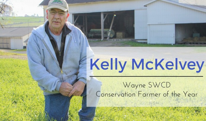 Kelly McKelvey header Kelly McKelvey