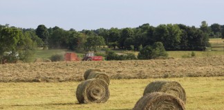 Baling hay