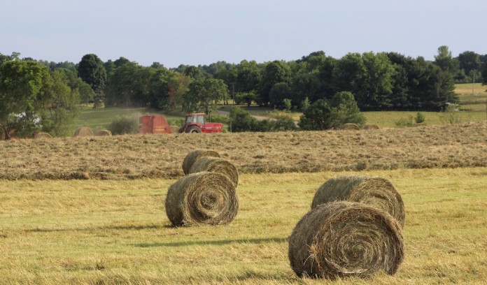 Baling hay