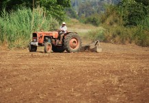 Worker protection compliance manual now available for growers