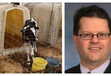 OSU scientist to combat antibiotic resistance