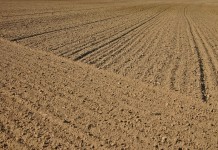 New web soil survey released