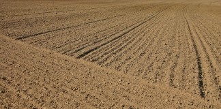 New web soil survey released