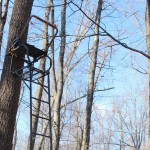 How to minimize the risks of using a tree stand