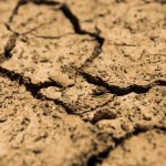 West Virginia farmers can apply now for state drought relief funds
