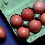 Eggs from small flocks more likely to contain salmonella