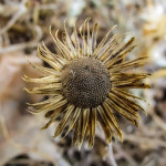 Why do I need farm insurance?