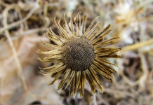 Why do I need farm insurance?