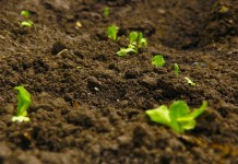 New Holland acquires Kongskilde