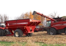 Grain rallies ahead of trade talks Corn harvest 2016