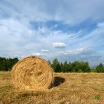 Sit back, relax and educate yourself