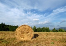 Sit back, relax and educate yourself