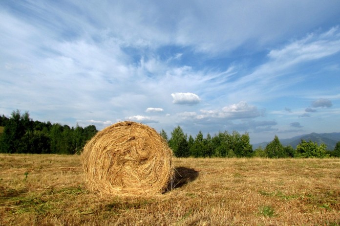 hay-harvest-1121332_1280