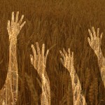 Considering a farm internship? Read this first