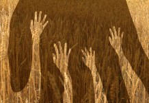 Considering a farm internship? Read this first