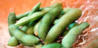 Advice for growing organic soybeans
